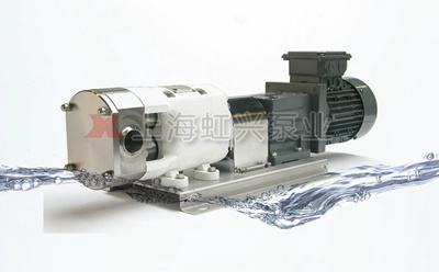 LQ系列轉(zhuǎn)子泵